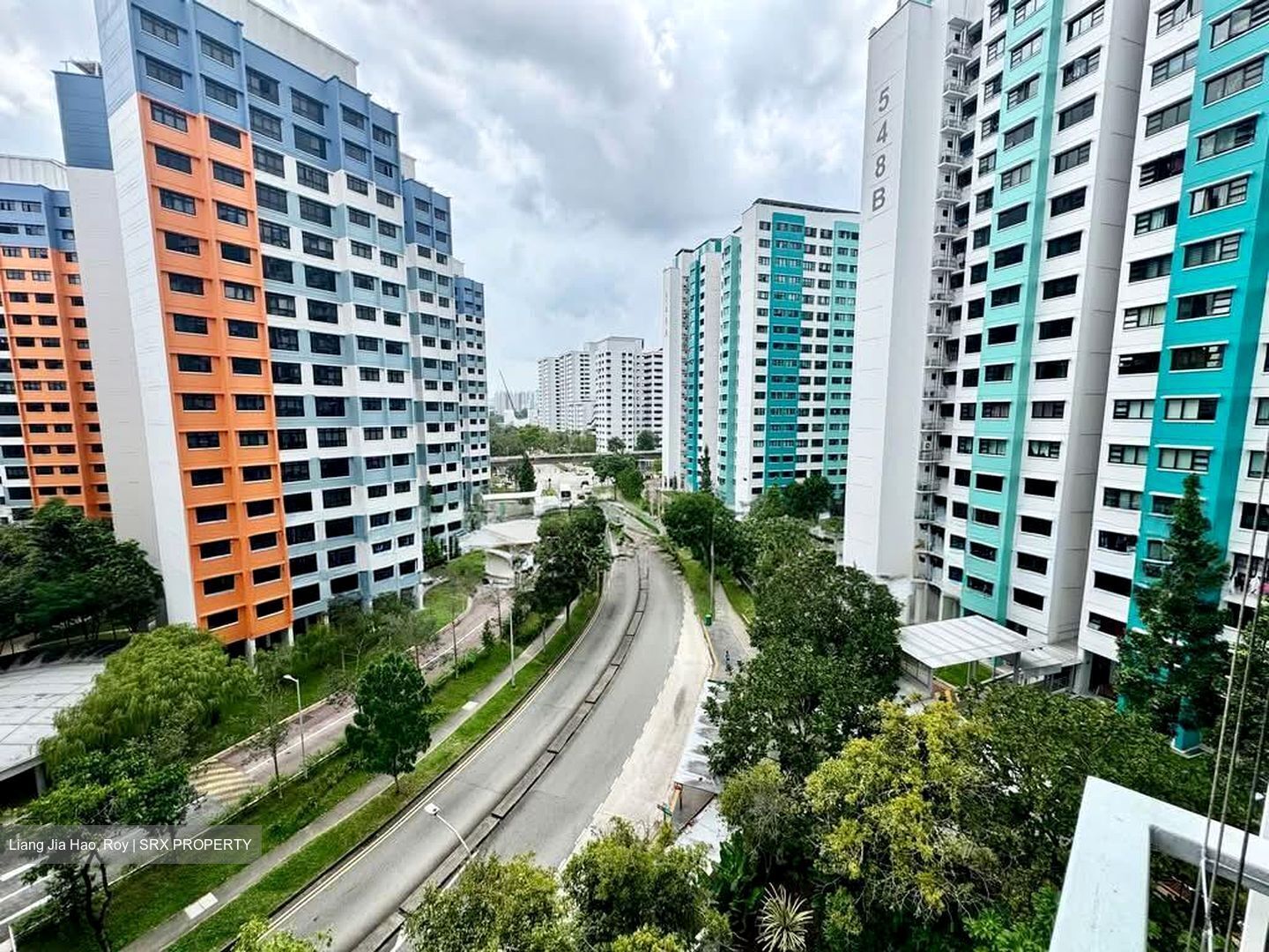 Blossom Residences (D23), Condominium #601009761